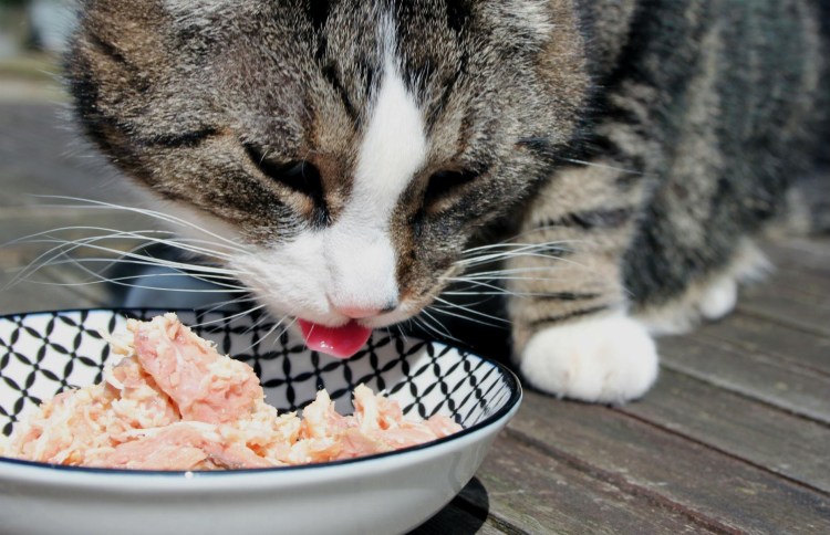 Кастрюля юмор