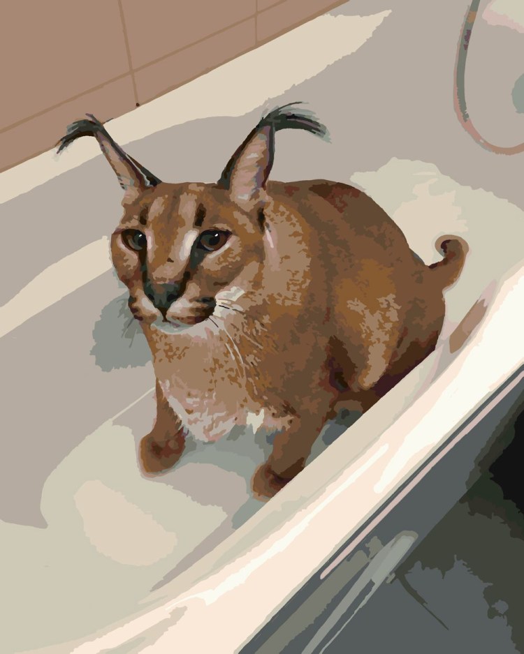 Кот Гоша каракал