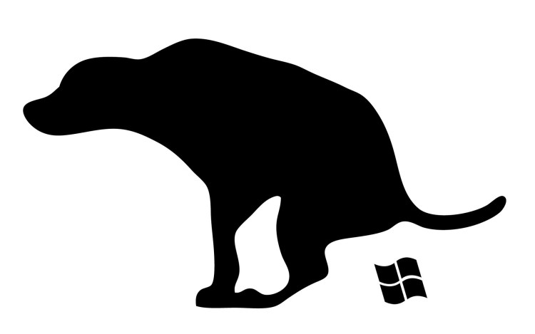 Котята на закате