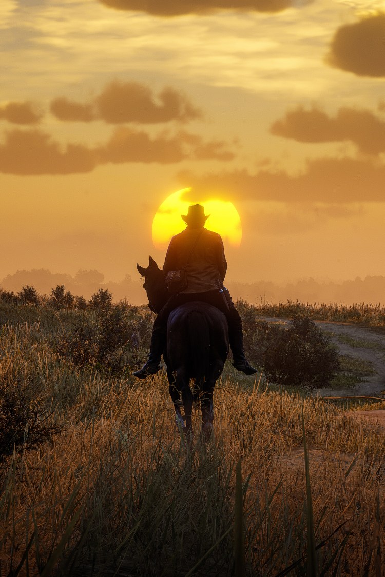 Смешной кот на унитазе