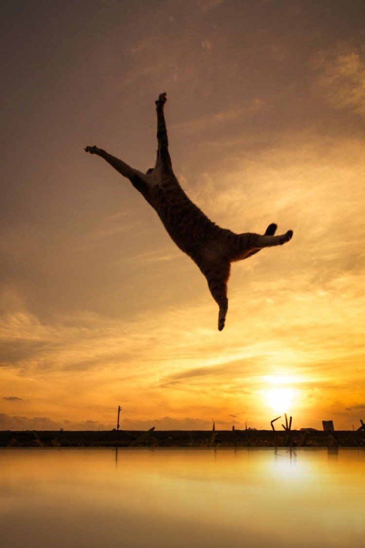 Радостный прыжок