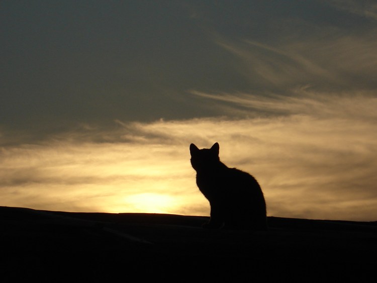 Фотографирую закат