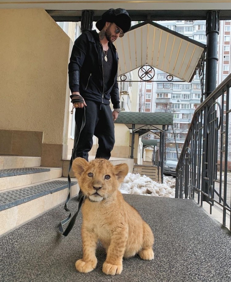 Сервал гуччи