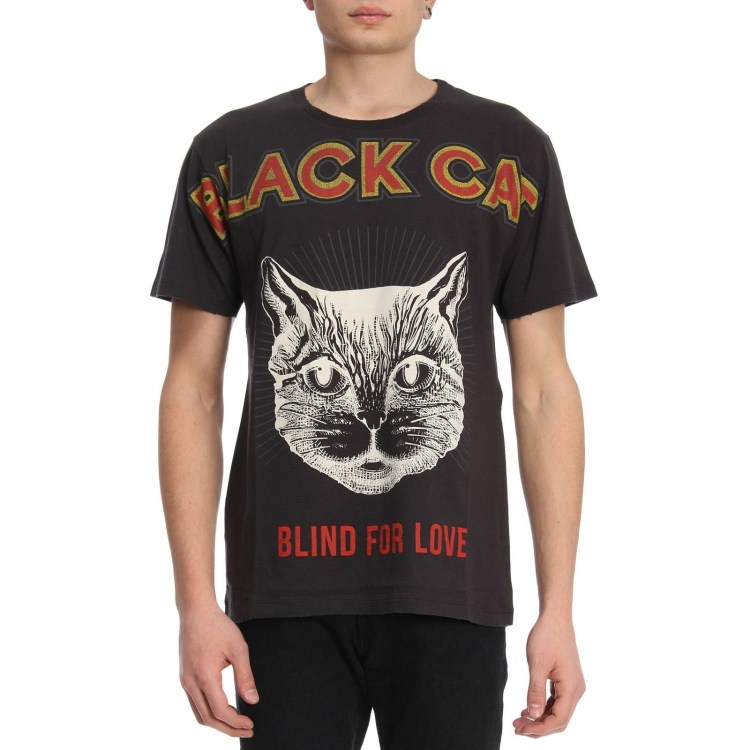 Кошка Gucci на прозрачном фоне