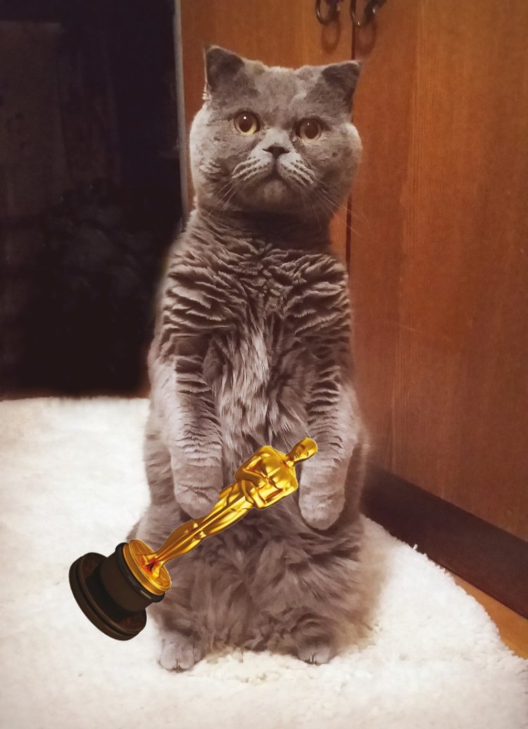 Сервал гуччи