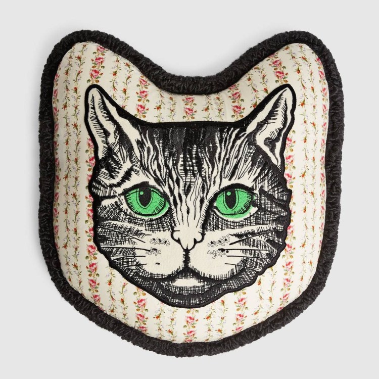 Сервал каракал Саванна