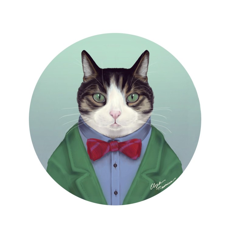 Спасибо за внимание кошка