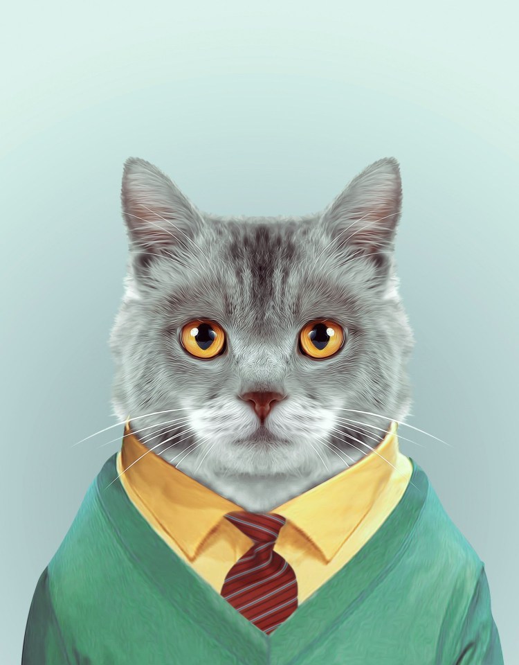 Косоглазый кот Джарвис