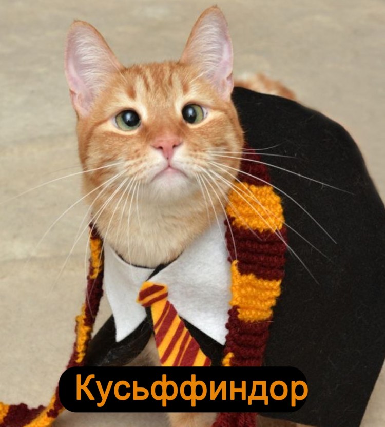 Костюм котенка