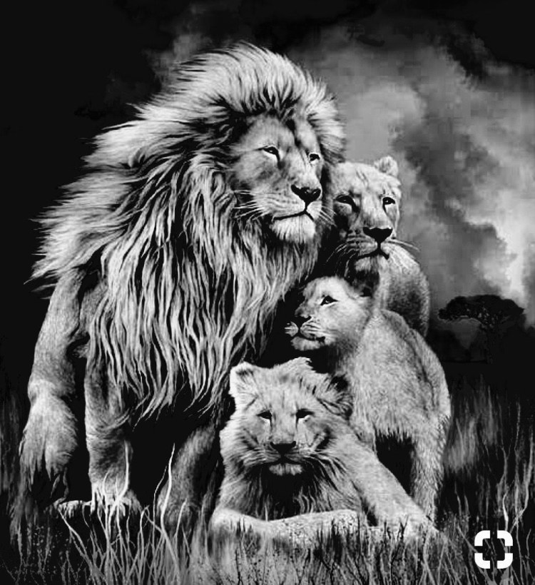 Наталья Каданцева львы