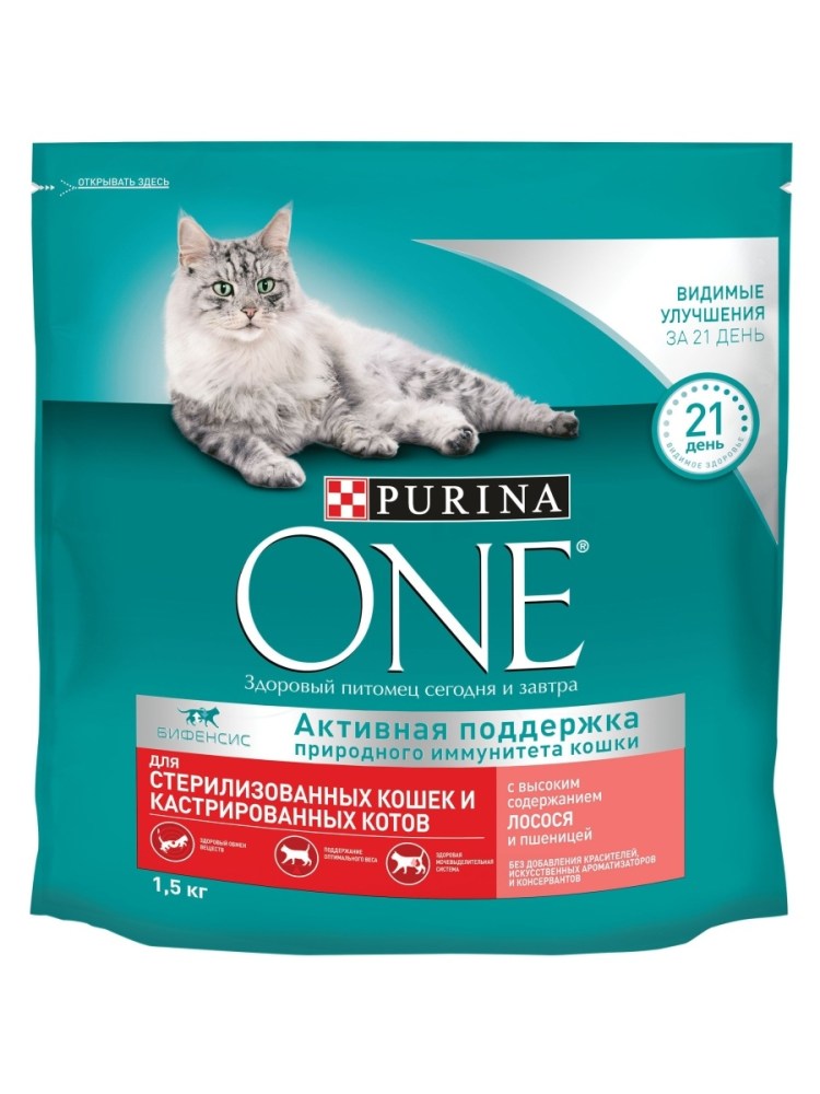 Пурина Ван с курицей