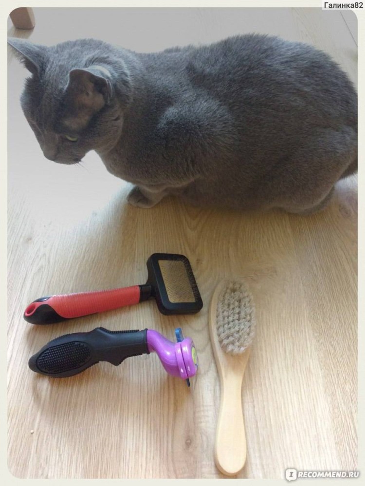 Инструмент для вычесывания подшерстка у собак