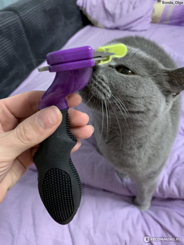 Щётка браш для кошек