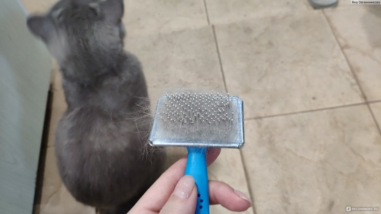 FURMINATOR для шотландских кошек