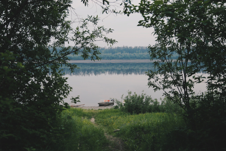 Палаточный лагерь в лесу у реки