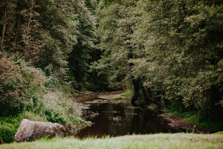 Сплав по рекам Койва и Чусовая