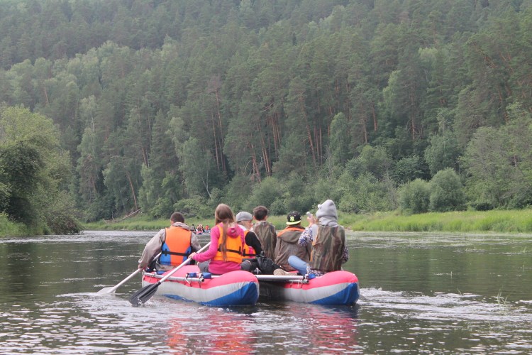 Порода кошек Рэгдолл