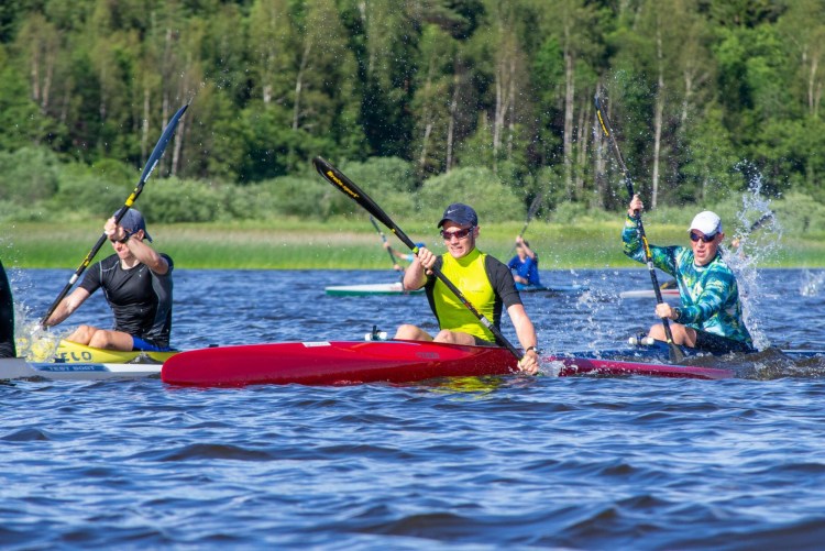 Рэгдолл метис