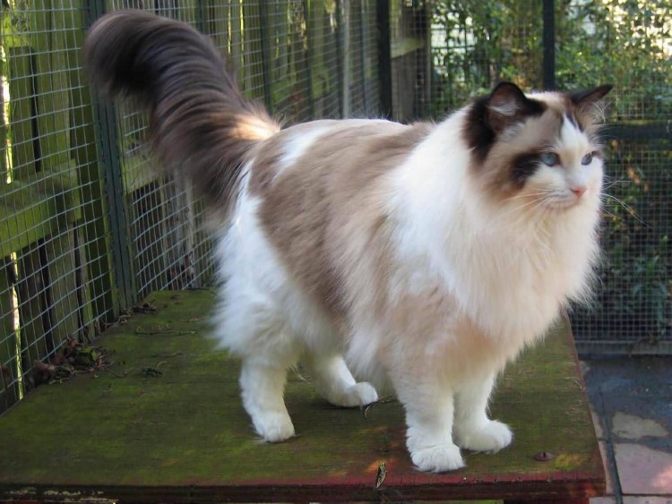 Сплав по реке Медведица Тверская область