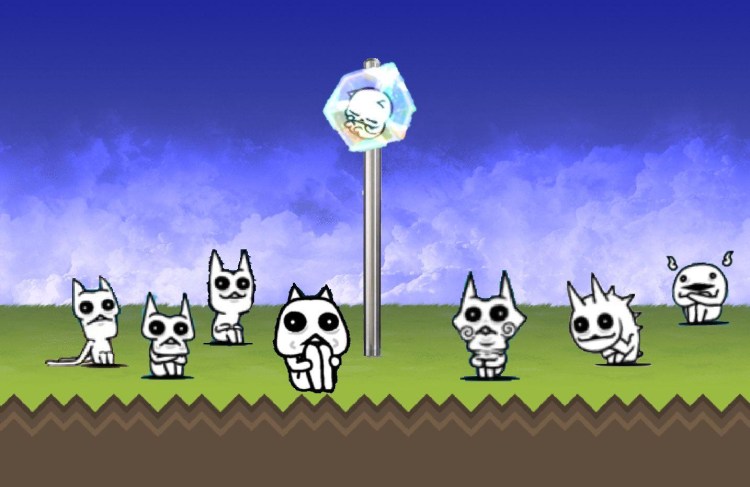 Драка котов