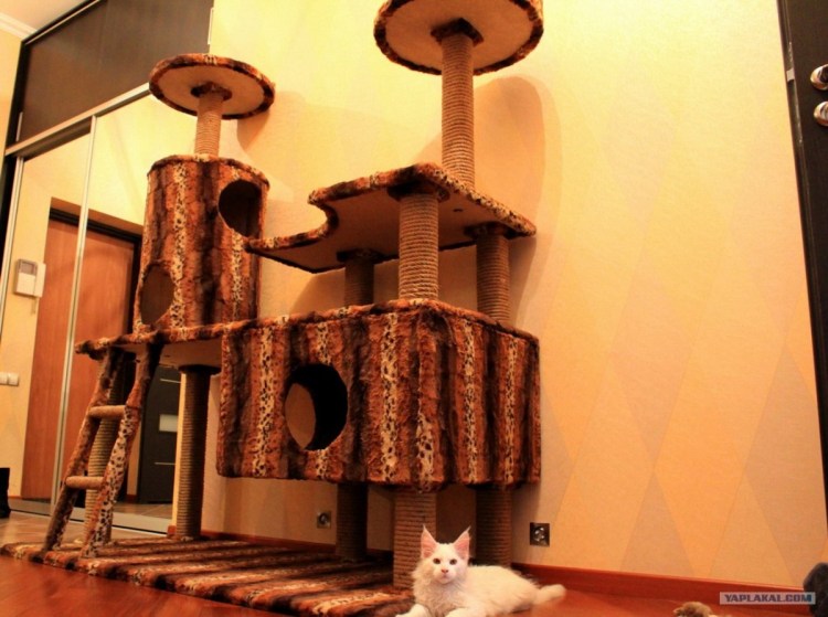 Стеллаж для котов