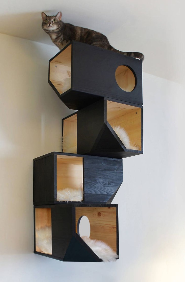 Catissa Кошкин дом