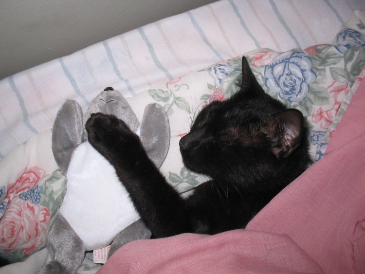 Объясни свою маленькость