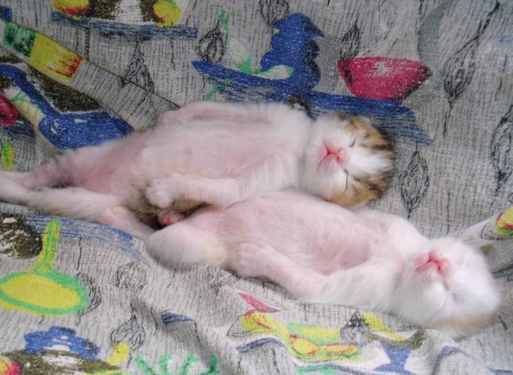 Утро после пятницы