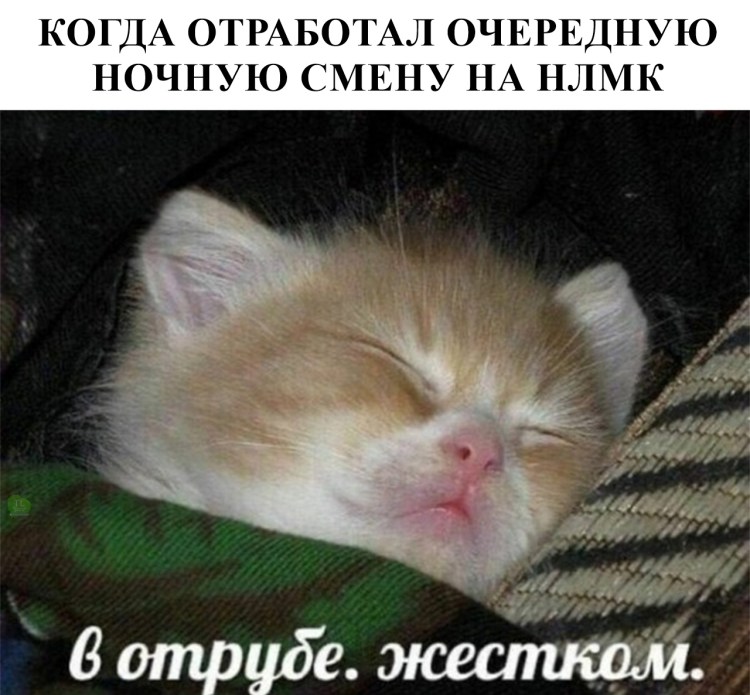 Кот в Отрубе