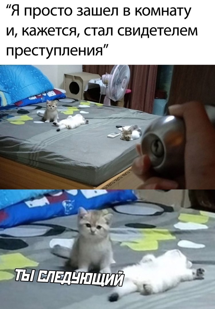 Кошка мама устала