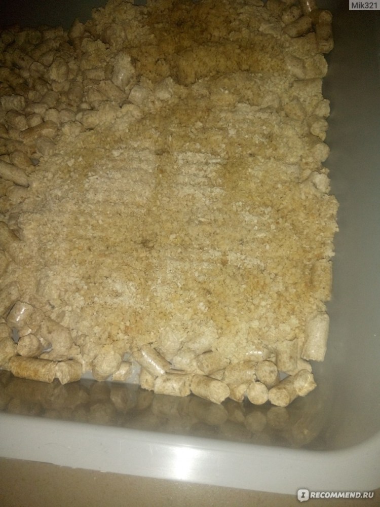 Туалет-лоток для кошек Dogman триплекс угловой 40х40х15 см