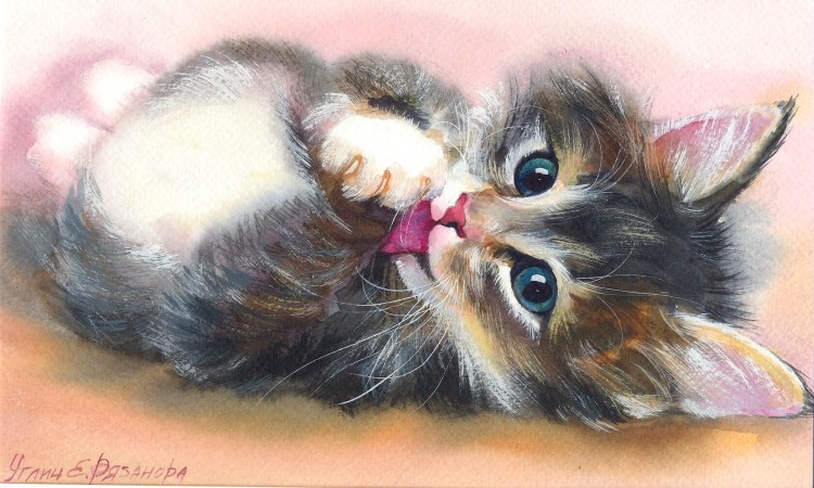 Милые котики
