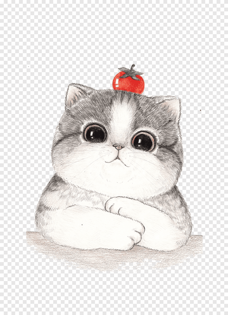 Розовый котенок