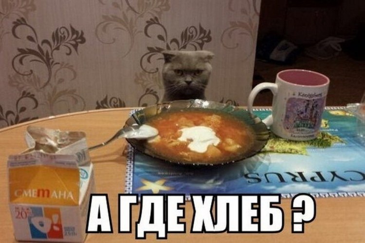 Котенок испачкался