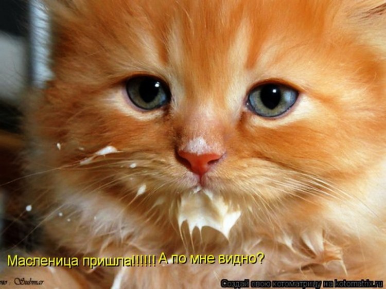 Котенок испачкался