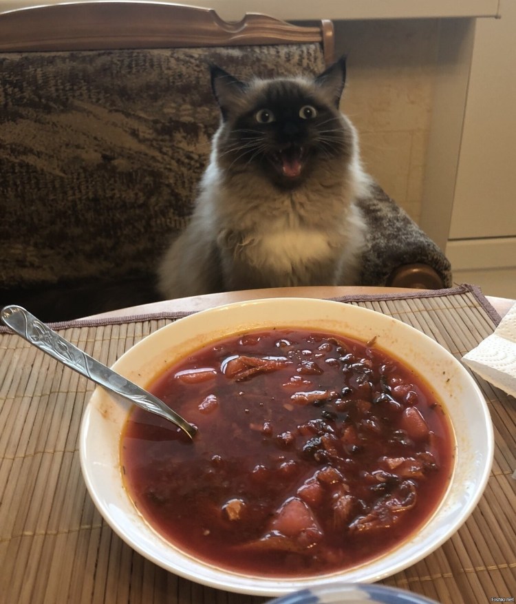 Котенок испачкался