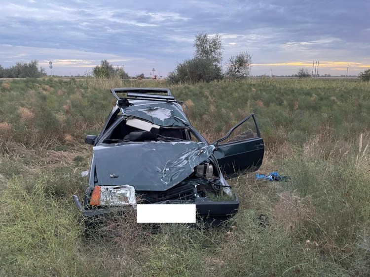 Кот с блинами на Масленицу