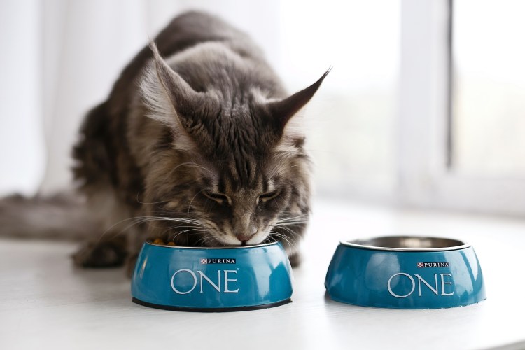 Purina one корм для стерильных кошек сухой говядины пшеница 750г