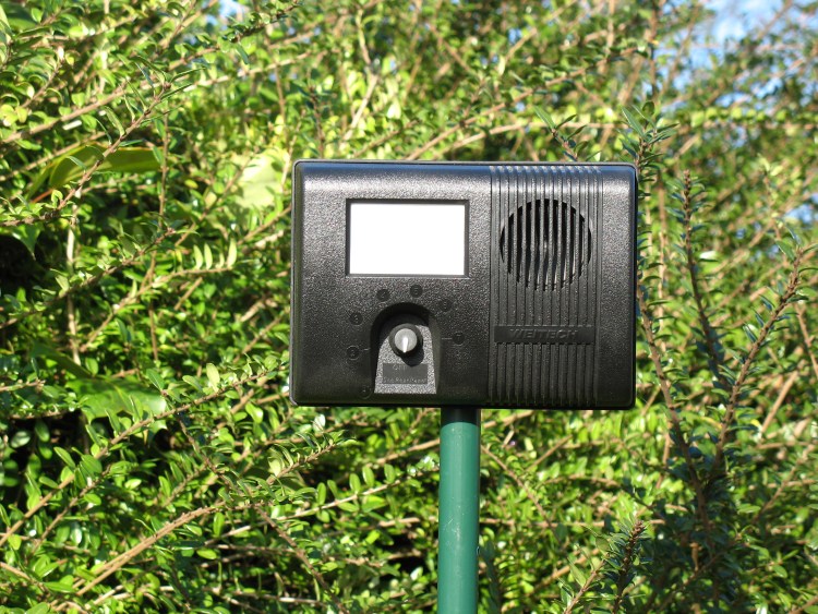 Сигнал отпугиватель