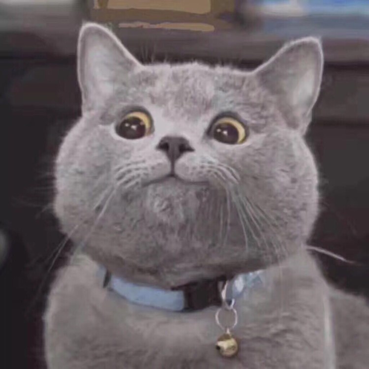 Скоттиш страйт Хосико