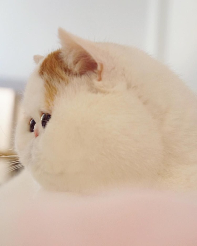 Не ну это бан