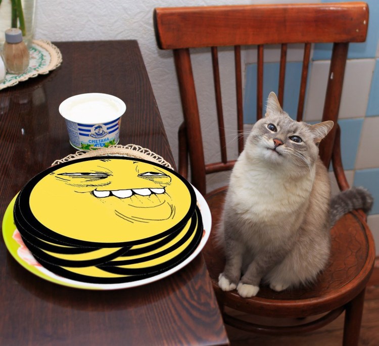 Довольный кот с блинами