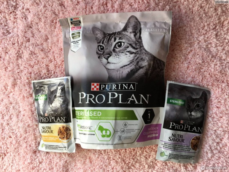 SAVARRA корм для кошек Hairball