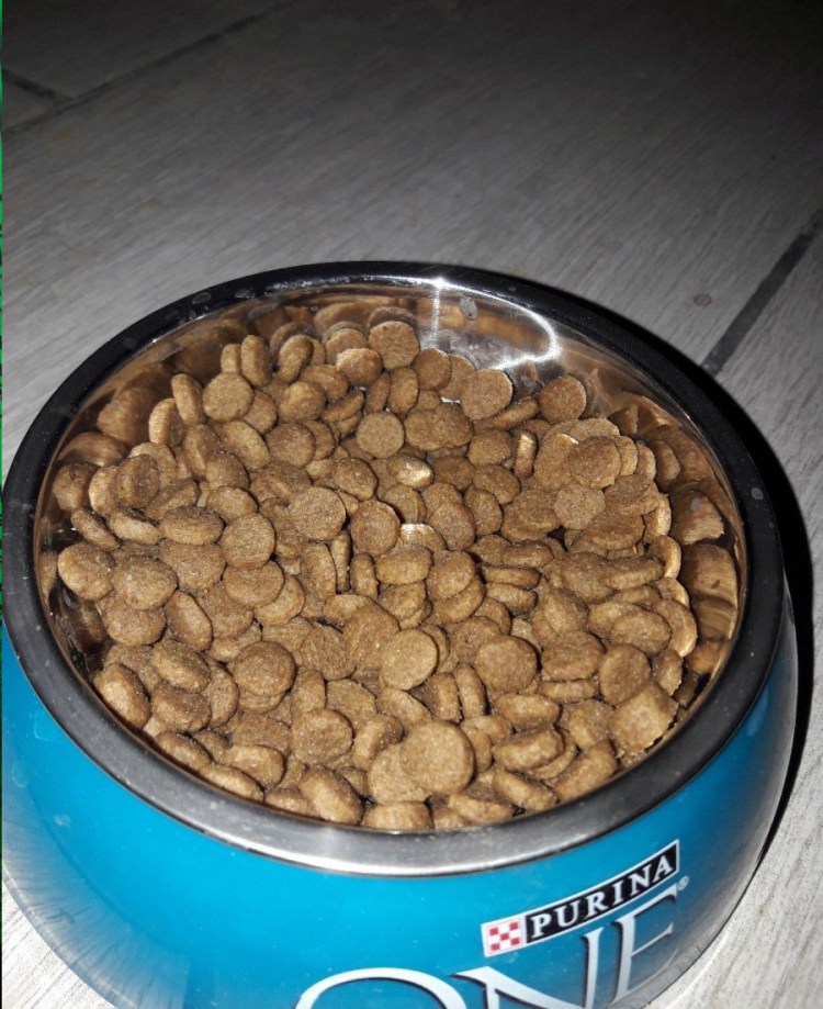 SAVARRA Д/собак мелких пород 1кг утка/рис