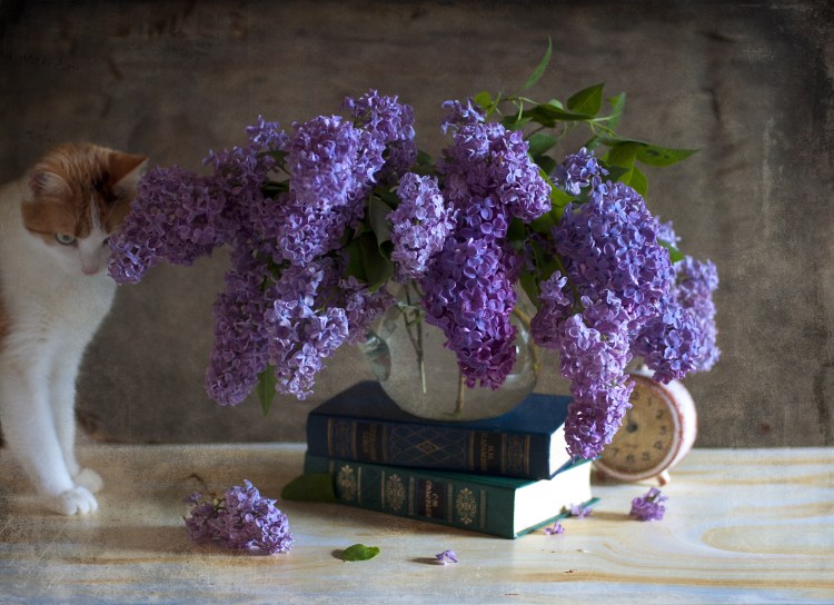 Букет сирени