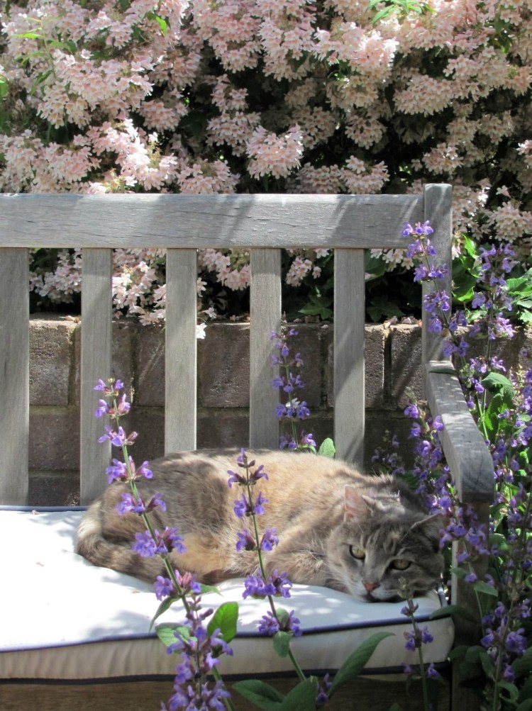 Живопись - Люси Билодо