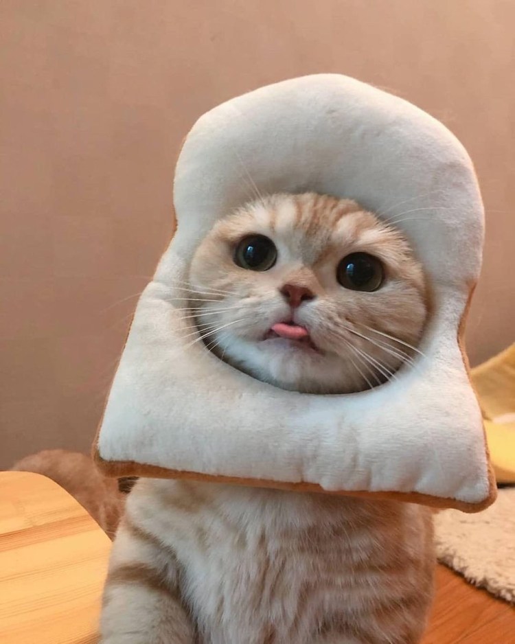 Подушка кошка