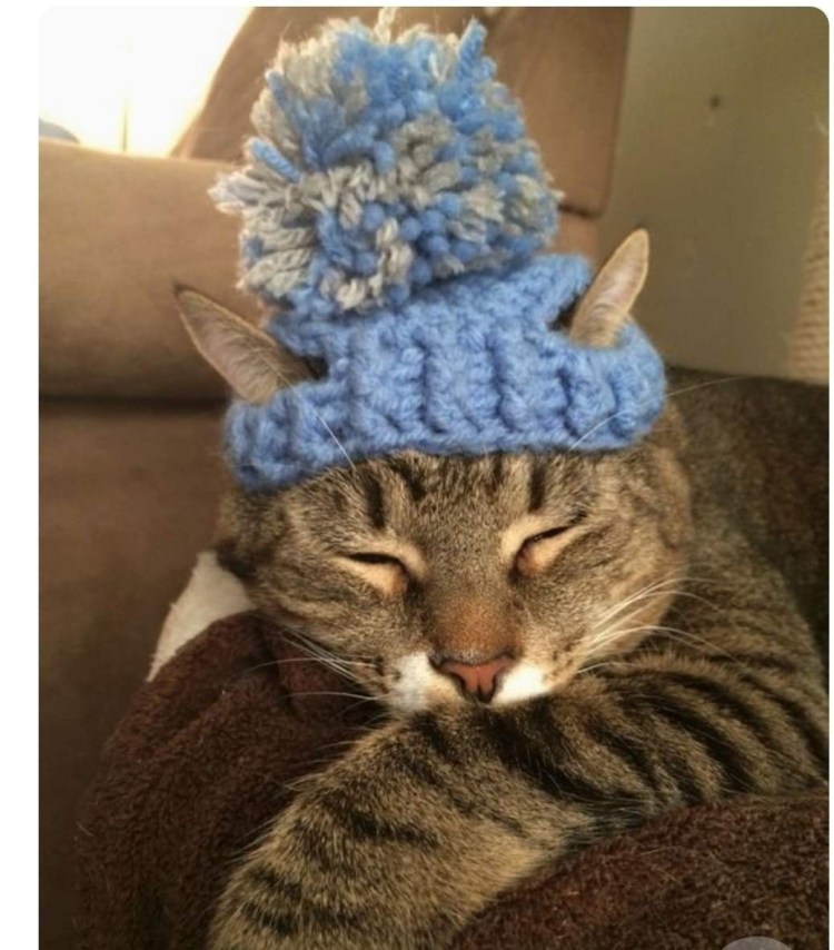 Одежда для Катав