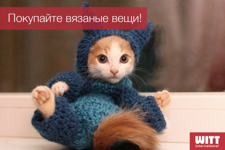 Уютный котик