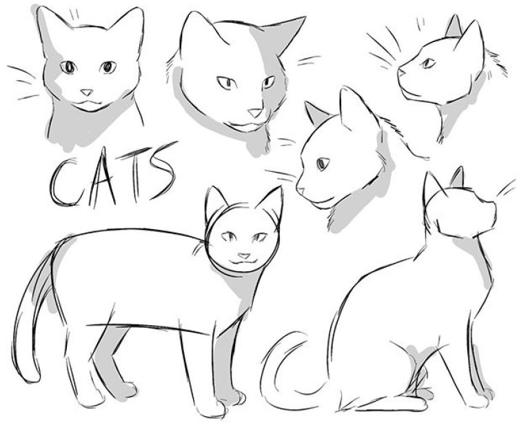 Морда кота сбоку туториал